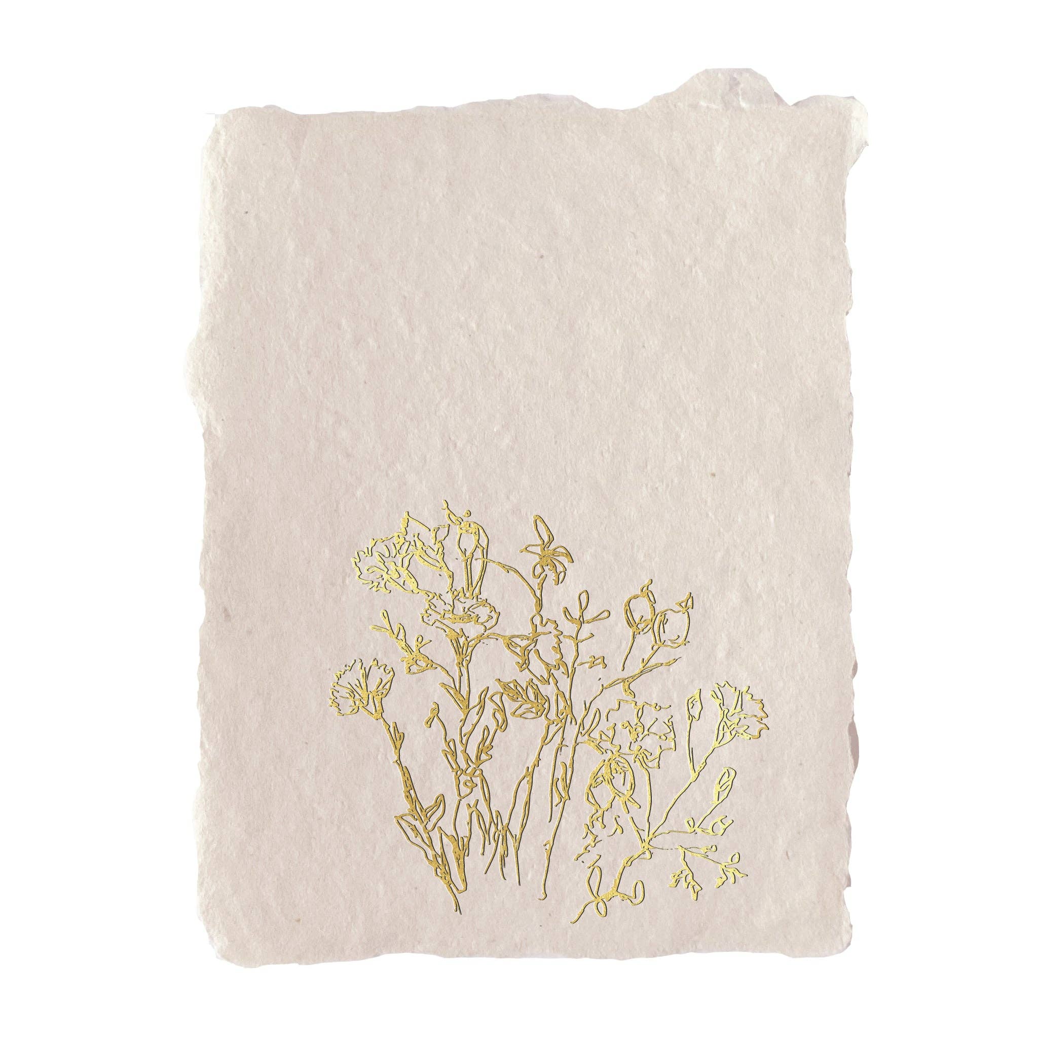 Golden Meadow Note Cards, Set of Four