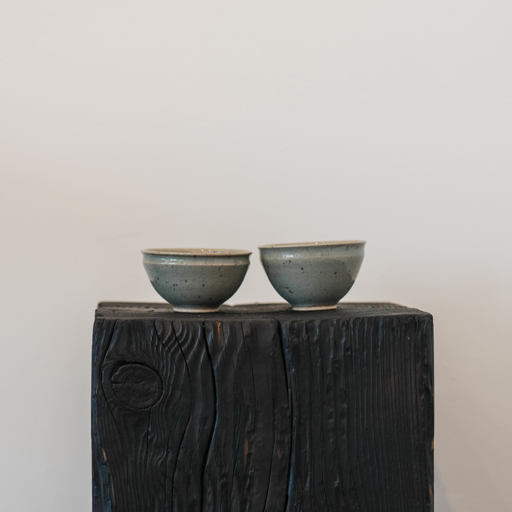 Robin's Egg Speckled Teacup