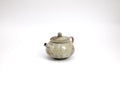 Wood Fired Teapot