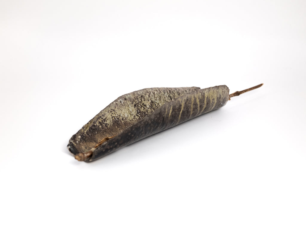 Wood Fired Tea Scoop + Bamboo Pick