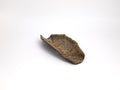 Wood Fired Tea Scoop + Bamboo Pick