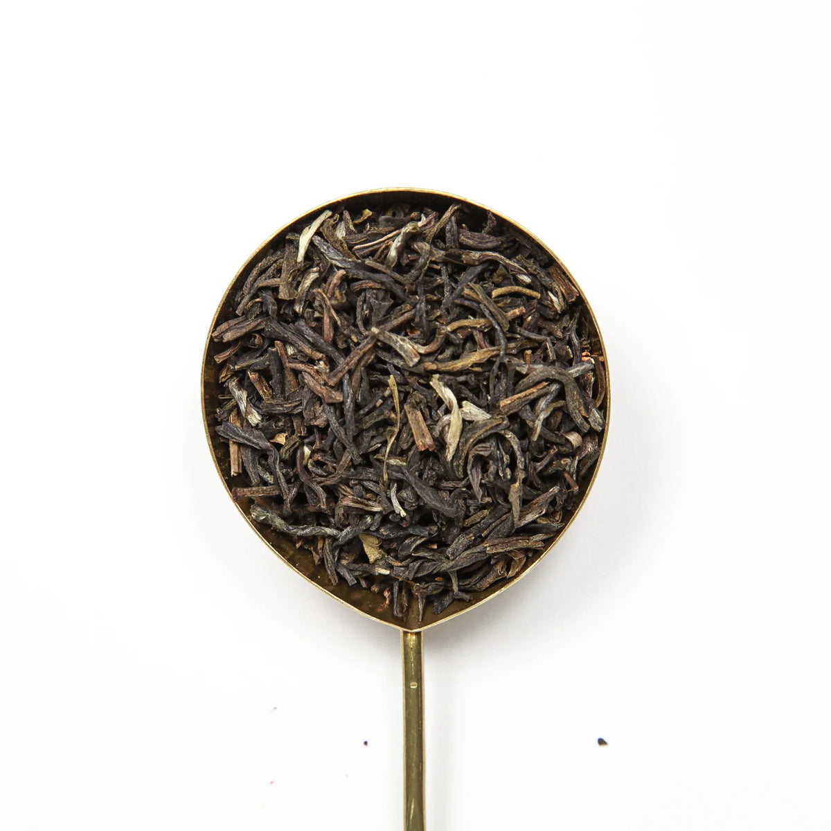 Miro Tea | Jasmine Monkey