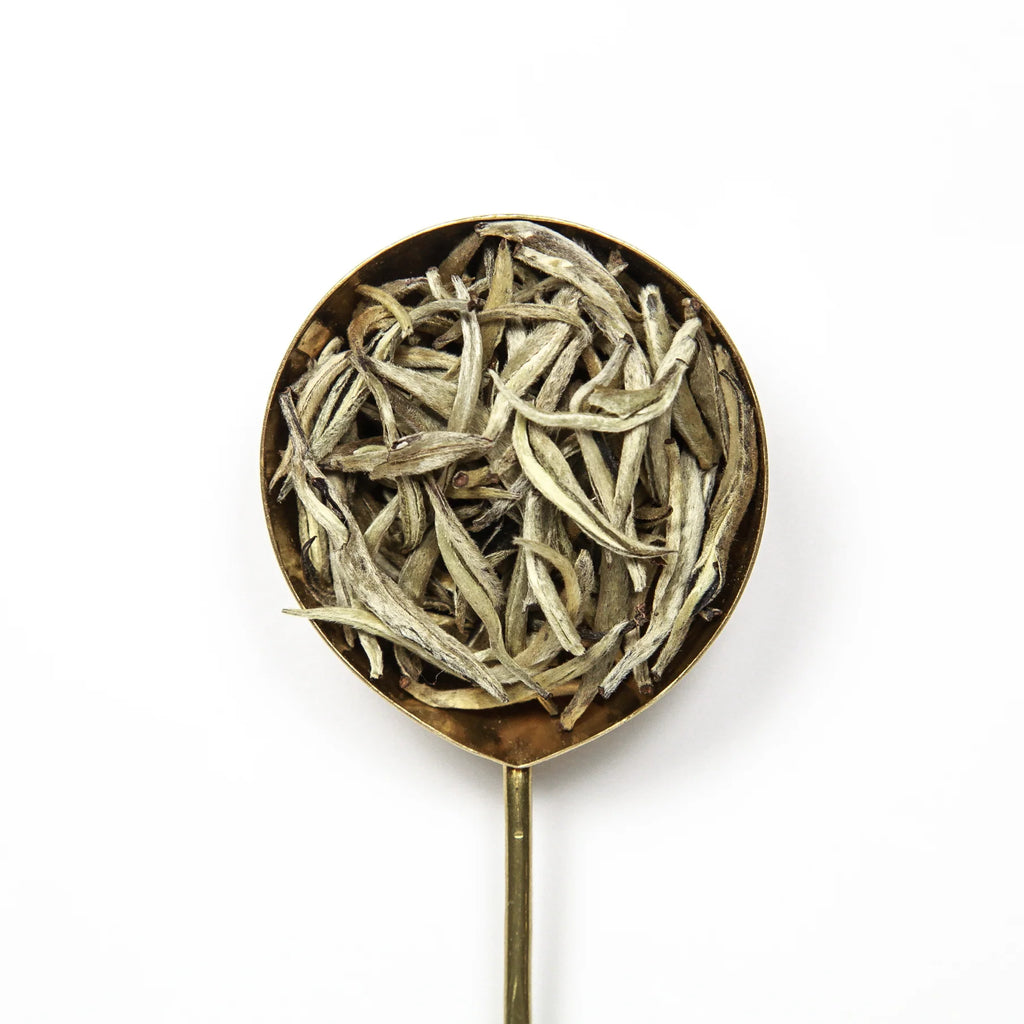 Miro Tea | Silver Needle Feng Qing