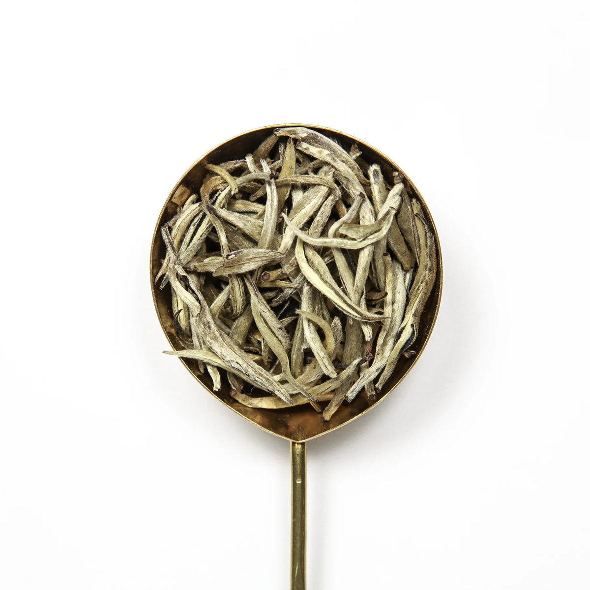 Miro Tea | Silver Needle Feng Qing