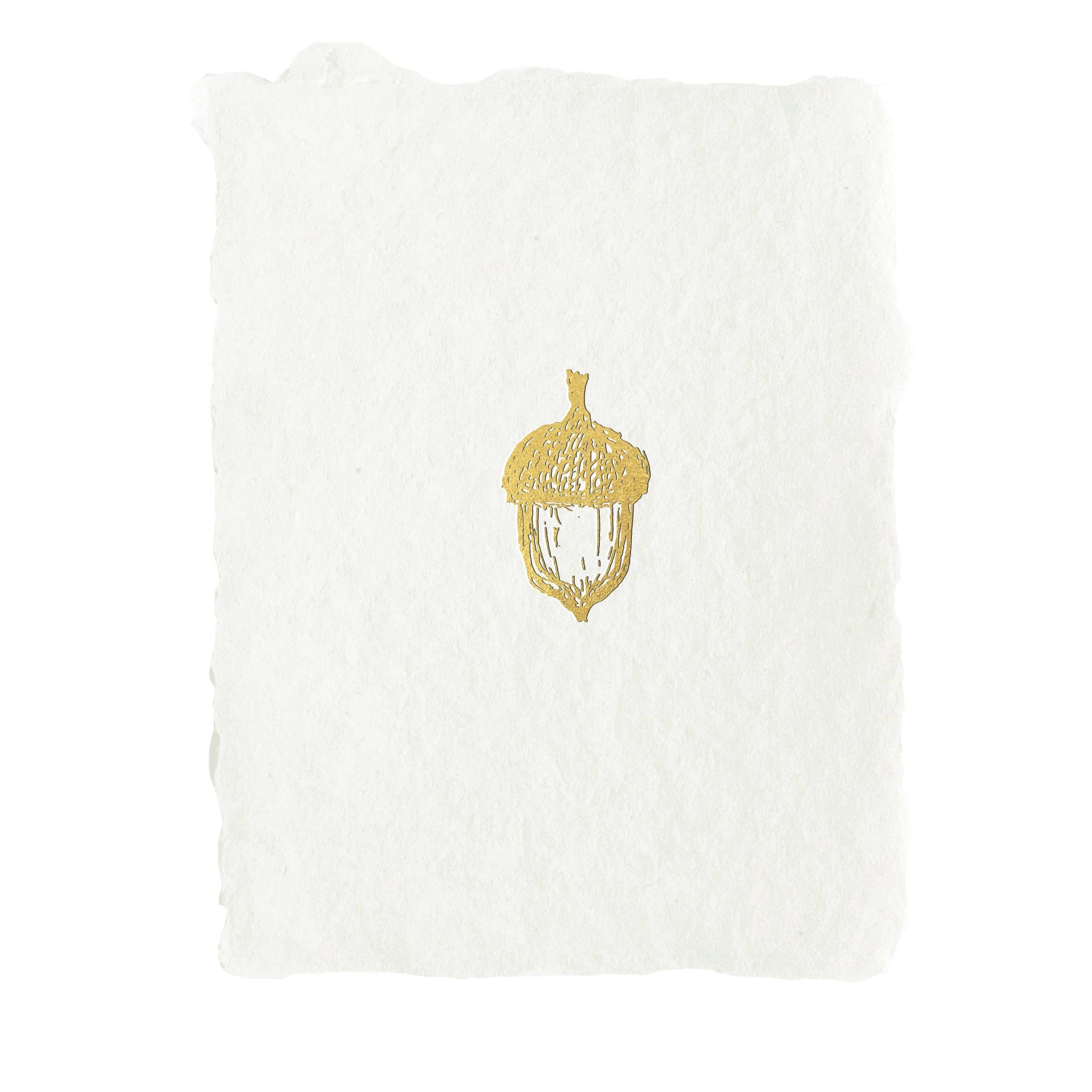Acorn Note Card